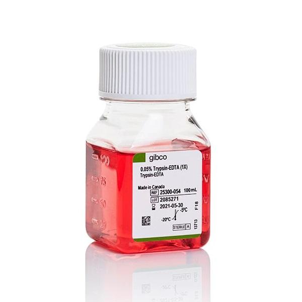 Gibco™ Trypsin-EDTA (0.05%), Phenol Red, 100 mL