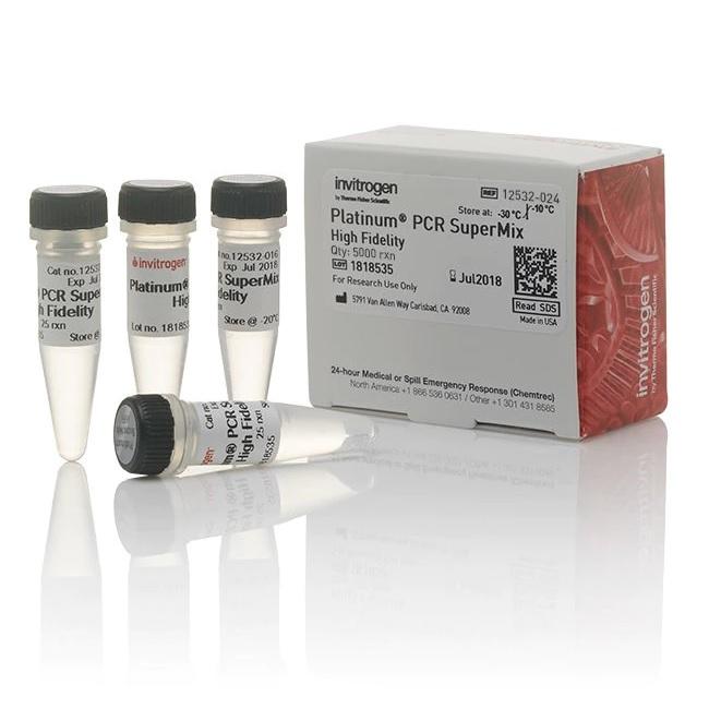 Invitrogen™ Platinum™ PCR SuperMix High Fidelity, 5000