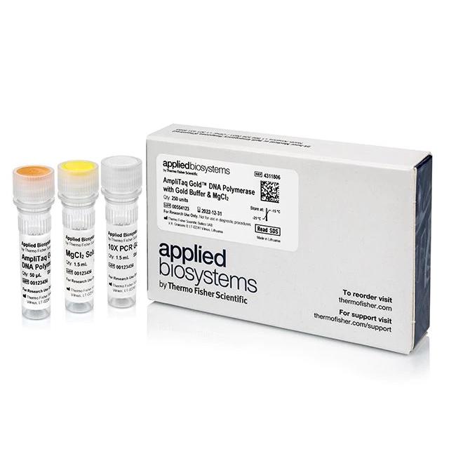 Applied Biosystems™ AmpliTaq Gold™ DNA Polymerase with Gold Buffer and MgCl2, 250