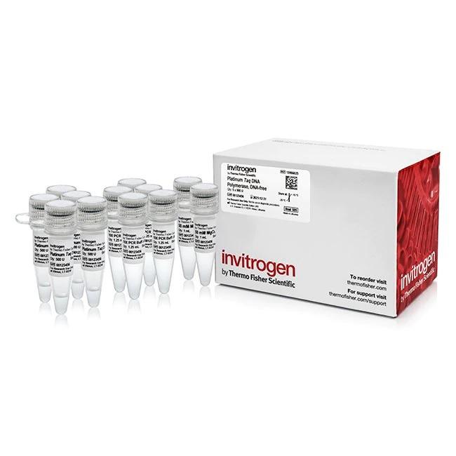 Invitrogen™ Platinum™ Taq DNA Polymerase, DNA-free, 2500