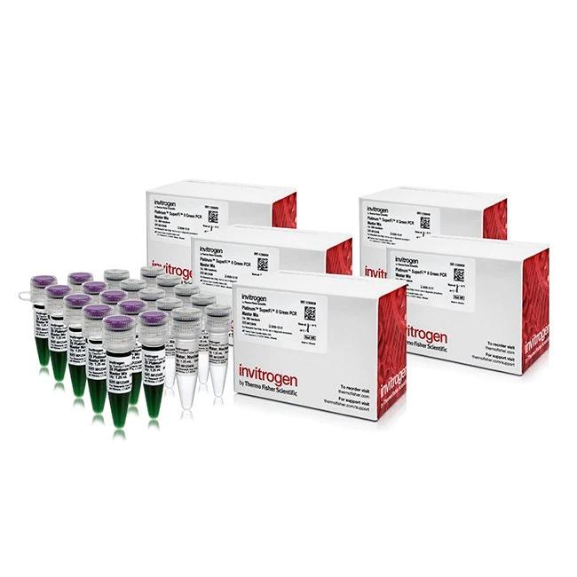 Lavet en kontrakt Effektiv frugtbart LaboShop | Products | Invitrogen™ Platinum™ SuperFi II Green PCR Master Mix,  2500