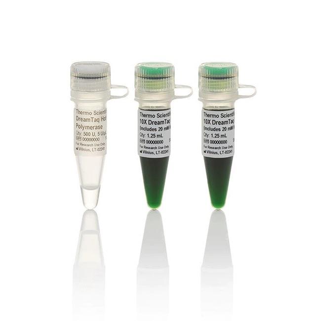 Thermo Scientific™ DreamTaq™ Hot Start Green DNA Polymerase, 2500