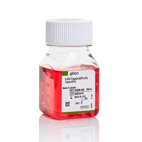 Gibco™ Trypsin-EDTA (0.25%), Phenol Red, 100 mL