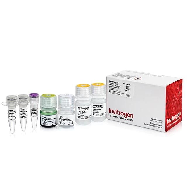Invitrogen™ Platinum™ Direct PCR Universal Master Mix, 500