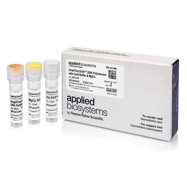 Applied Biosystems™ AmpliTaq Gold™ DNA Polymerase with Gold Buffer and MgCl2, 25000