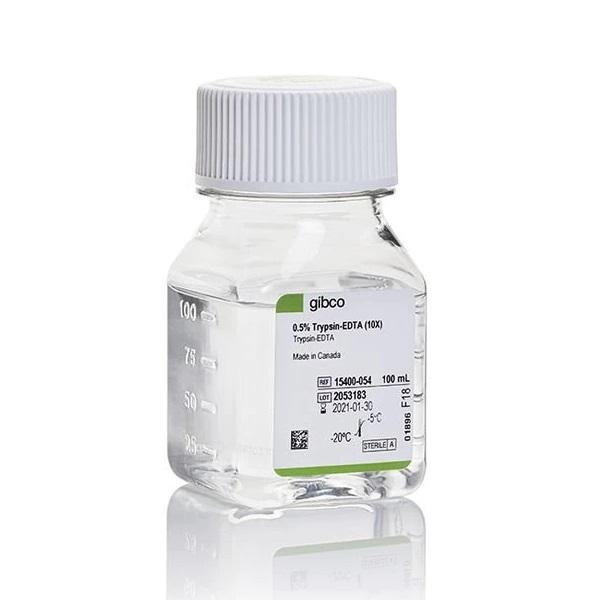 Gibco™ Trypsin-EDTA (0.5%), No Phenol Red, 100 mL