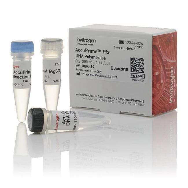 Invitrogen™ AccuPrime™ Pfx DNA Polymerase, 200
