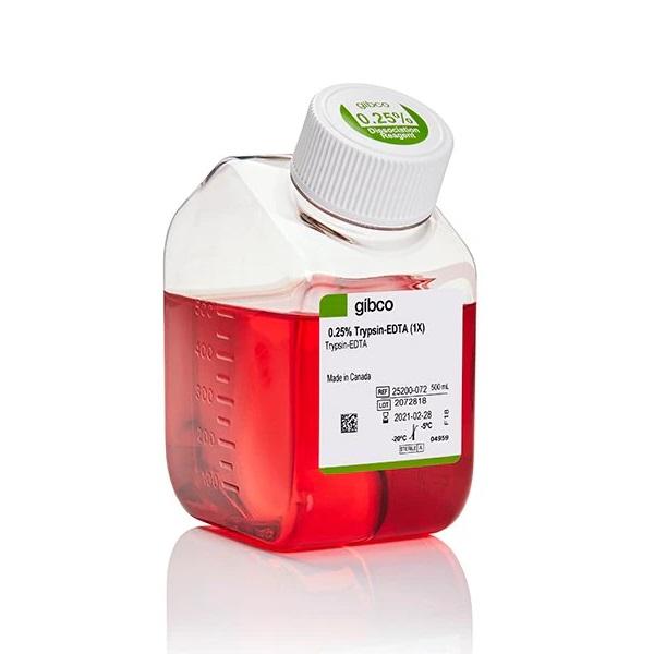 Gibco™ Trypsin-EDTA (0.25%), Phenol Red, 500 mL