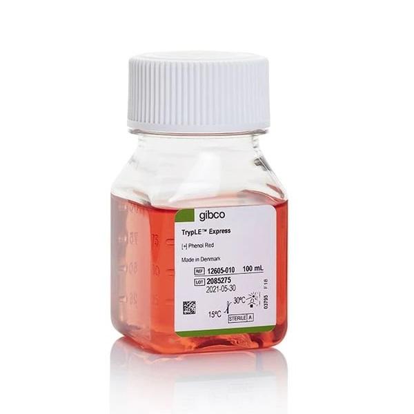Gibco™ TrypLE™ Express Enzyme (1X), Phenol Red, 20 x 100 mL
