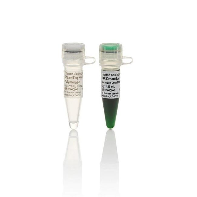 Thermo Scientific™ DreamTaq™ Hot Start Green DNA Polymerase, 200