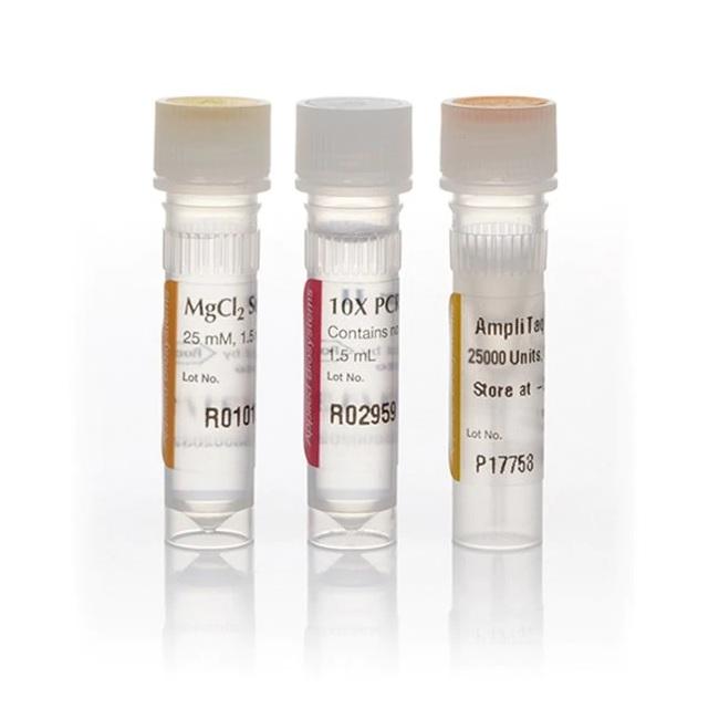 Applied Biosystems™ AmpliTaq Gold™ DNA Polymerase with Buffer II and MgCl2, 25000