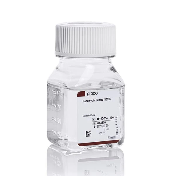 Gibco™ Kanamycin Sulfate (100X), 20 x 100 mL