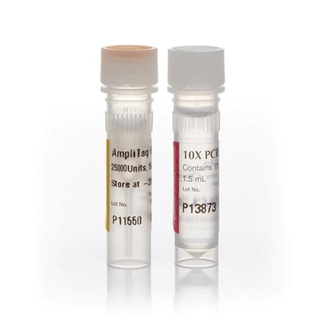 Applied Biosystems™ AmpliTaq Gold™ DNA Polymerase with Buffer I , 25000