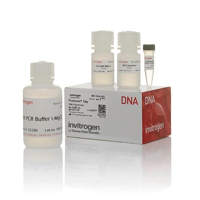 Invitrogen™ Platinum™ Taq DNA Polymerase, 5000