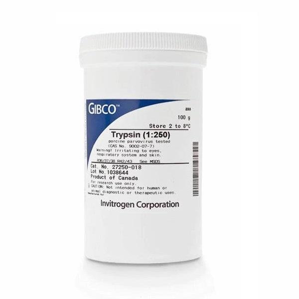 Gibco™ Trypsin (1:250), Powder, 100 g