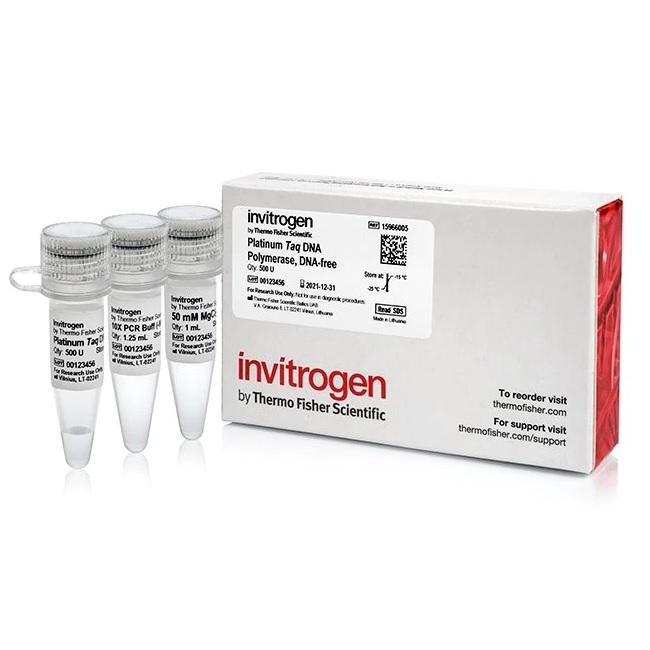 Invitrogen™ Platinum™ Taq DNA Polymerase, DNA-free, 500