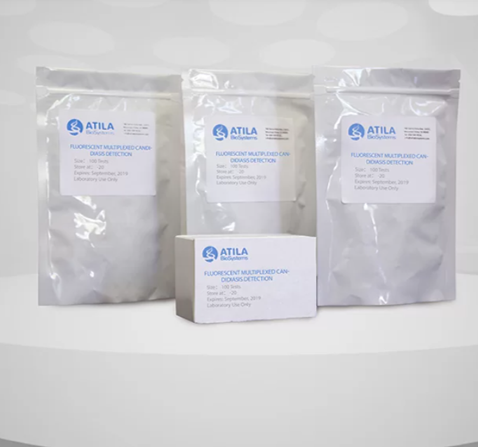 Fluorescent isothermal Candidiasis detection kit