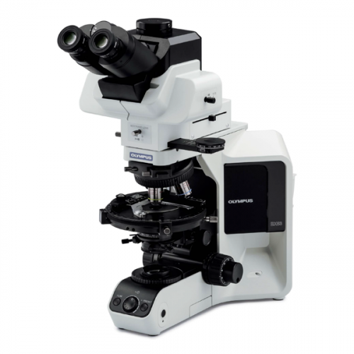 OLYMPUS BX53 Upright microscope