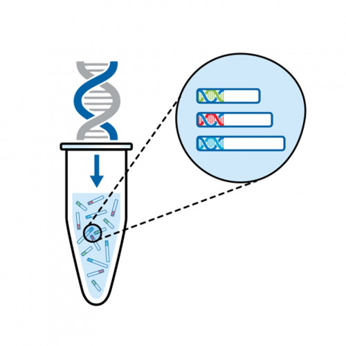 Myeloid Gene Profiling, (NGS)