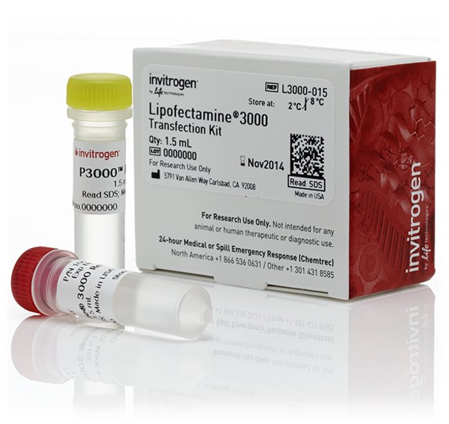 Invitrogen™ Lipofectamine™ 3000 Transfection Reagent, 1.5 mL
