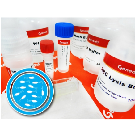 Presto™ Mini RNA Bacteria Kit with DNase, 50 Preps