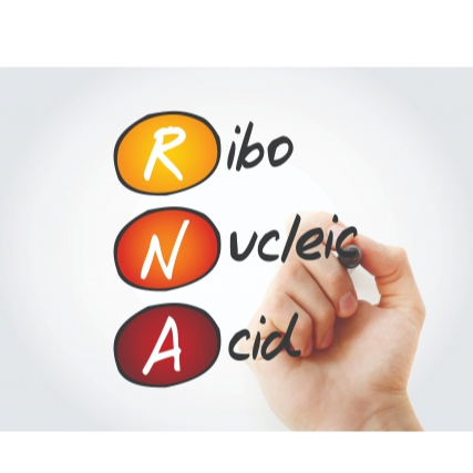 rSYNC™ RNA Isolation Kit with DNase, 100 Preps