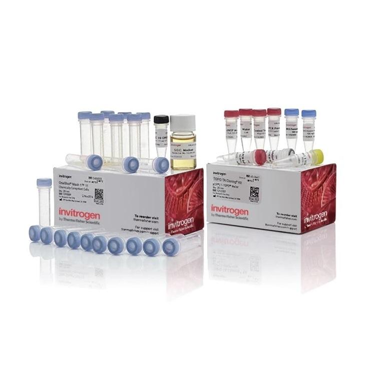 Invitrogen™ TOPO™ TA Cloning™ Kit for Subcloning, with One Shot™ Mach1™ T1 Phage-Resistant Chemically Competent E. coli