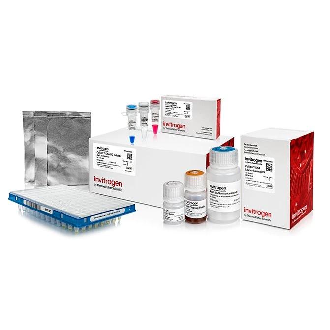 Invitrogen™ Collibri™ PCR-free ES DNA Library Prep Kit for Illumina Systems, with UD indexes (Set D, 73-96)