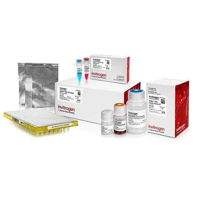 Invitrogen™ Collibri™ PCR-free PS DNA Library Prep Kit for Illumina Systems, with UD indexes (Set C, 49-72)