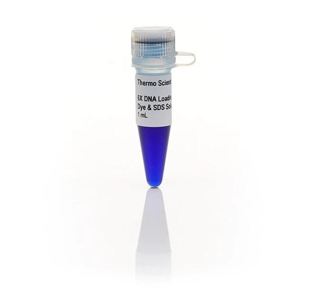 Thermo Scientific™ DNA Loading Dye & SDS Solution (6X)