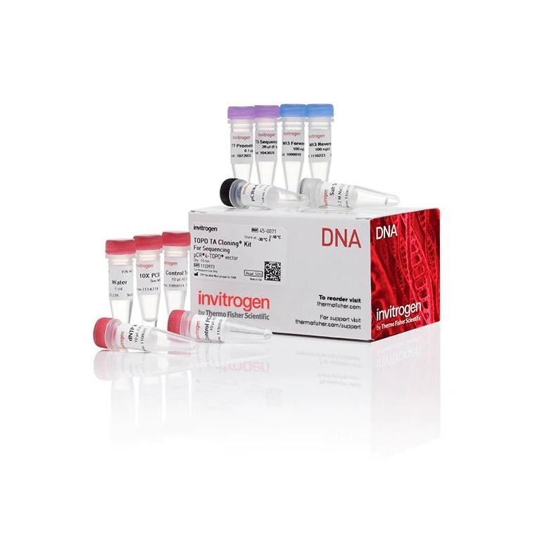 Invitrogen™ TOPO™ TA Cloning™ Kit for Sequencing, without competent cells, 10 Reactions