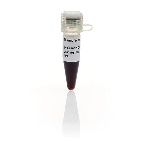 Thermo Scientific™ Orange DNA Loading Dye (6X)