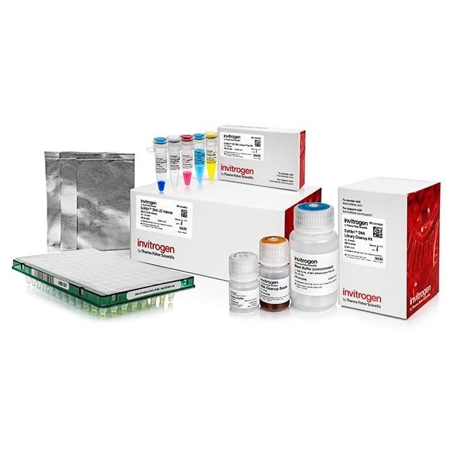 Invitrogen™ Collibri™ ES DNA Library Prep Kit for Illumina Systems, with UD indexes (Set B, 25-48)