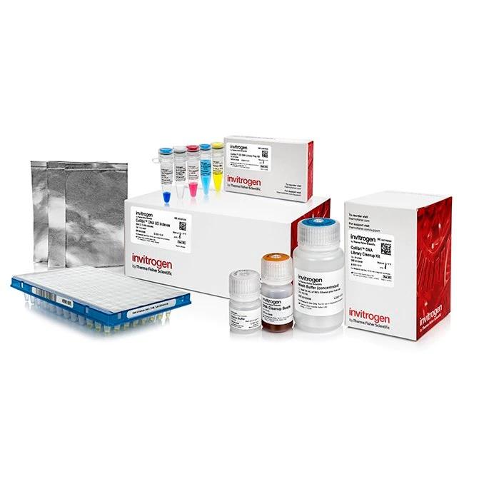 Invitrogen™ Collibri™ ES DNA Library Prep Kit for Illumina Systems, with UD indexes (Set D, 73-96)