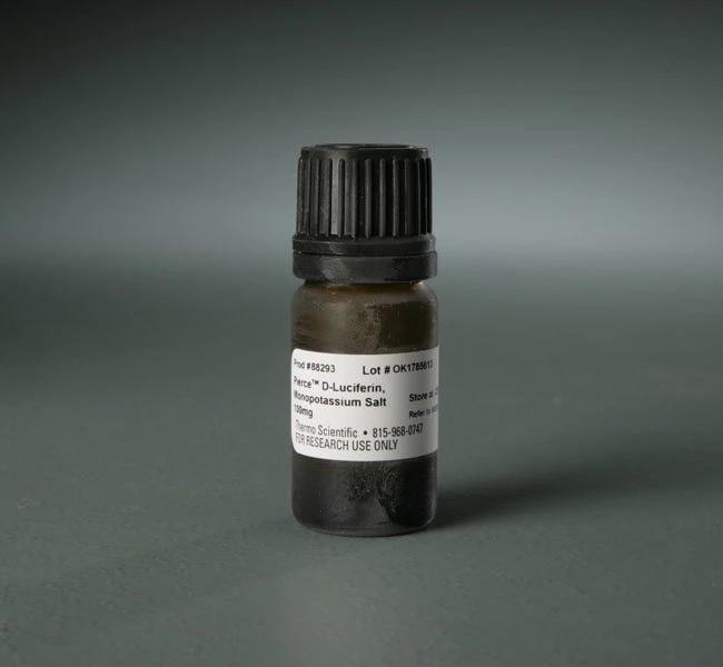 Thermo Scientific™ Pierce™ D-Luciferin, Monopotassium Salt, 100 mg
