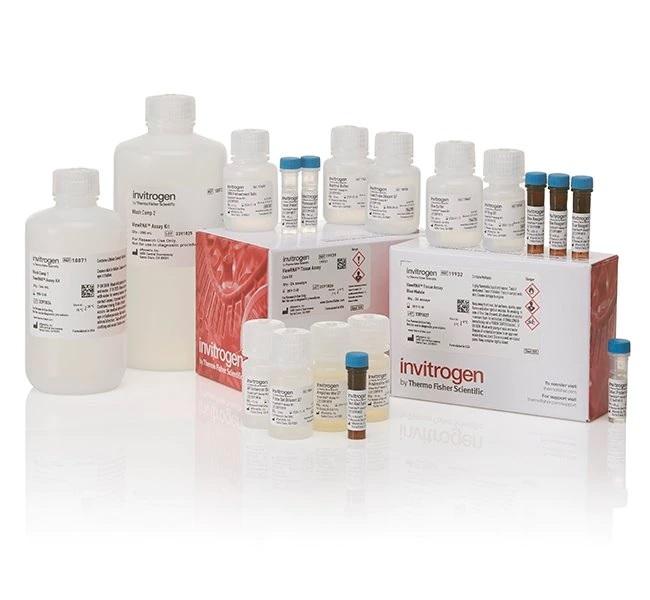 Invitrogen™ ViewRNA™ Tissue Assay Core Kit, 24 Assays