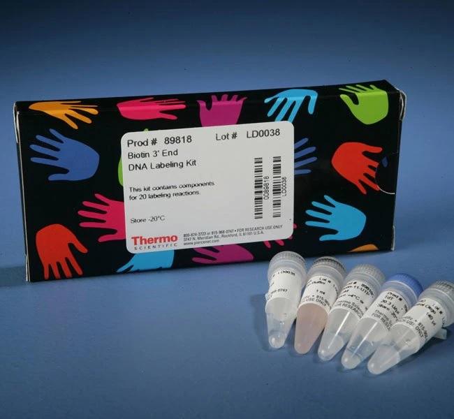 Thermo Scientific™ Pierce™ Biotin 3' End DNA Labeling Kit