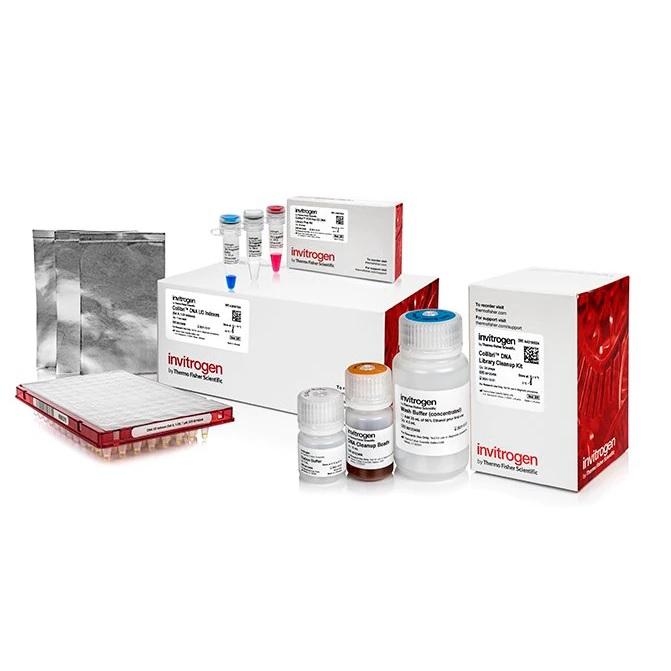 Invitrogen™ Collibri™ PCR-free ES DNA Library Prep Kit for Illumina Systems, with UD indexes (Set A, 1-24)