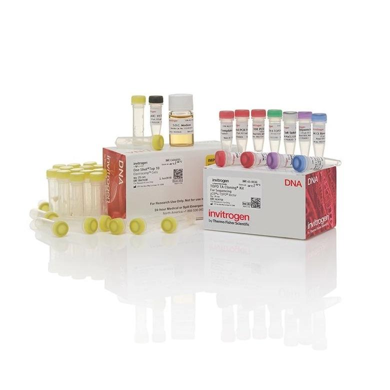 Invitrogen™ TOPO™ TA Cloning™ Kit for Sequencing, with One Shot™ TOP10 Electrocomp™ E. coli, 50 Reactions