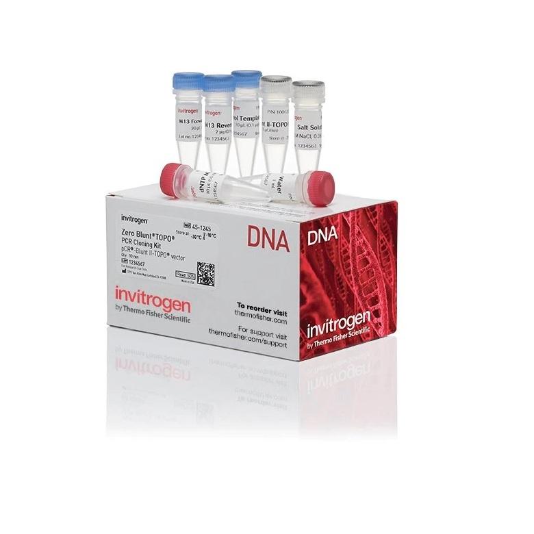 Invitrogen™ Zero Blunt™ TOPO™ PCR Cloning Kit, without competent cells, 25 Reactions