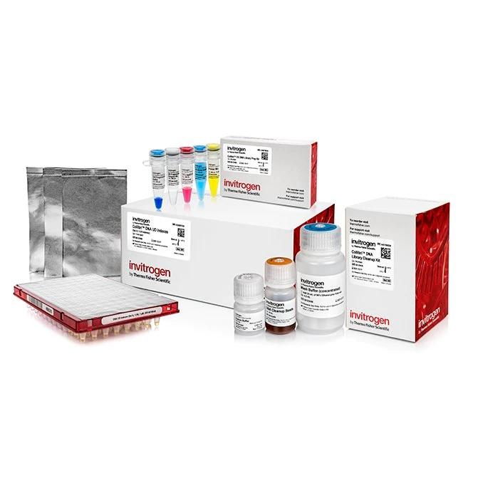 Invitrogen™ Collibri™ ES DNA Library Prep Kit for Illumina Systems, with CD indexes, 96