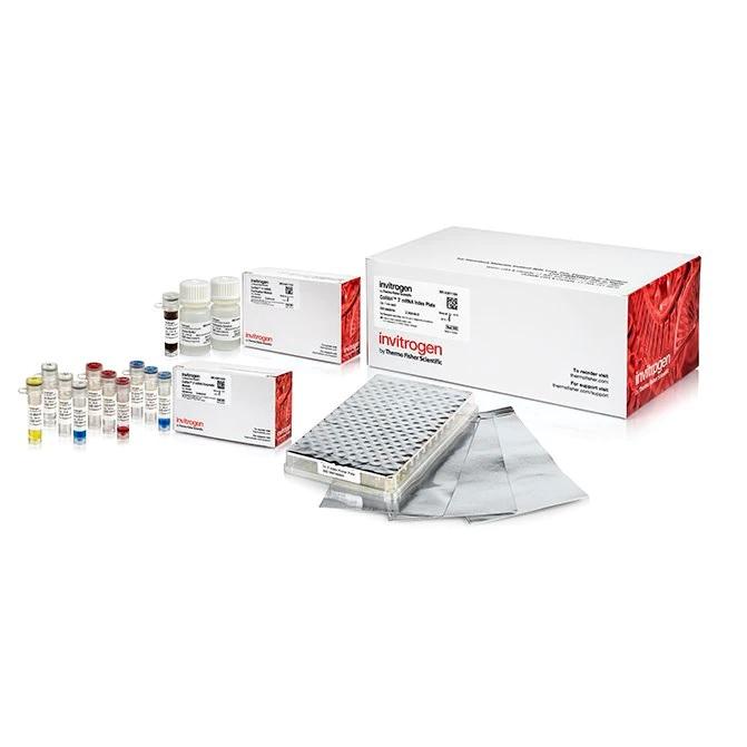 Invitrogen™ Collibri™ Stranded RNA Library Prep Kit for Illumina™ Systems, with UD indexes, 96