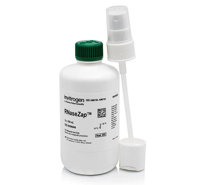 Invitrogen™ RNaseZap™ RNase Decontamination Solution, 250 mL