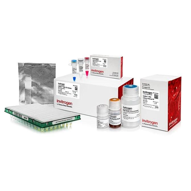 Invitrogen™ Collibri™ PCR-free ES DNA Library Prep Kit for Illumina Systems, with UD indexes (Set B, 25-48)