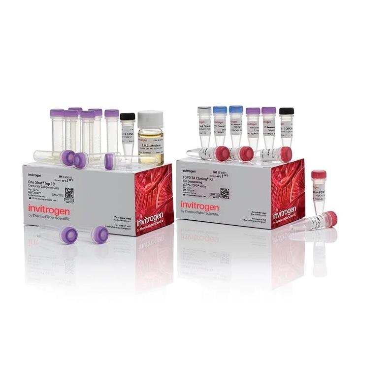 Invitrogen™ TOPO™ TA Cloning™ Kit for Sequencing, with One Shot™ TOP10 Chemically Competent E. coli, 10 Reactions