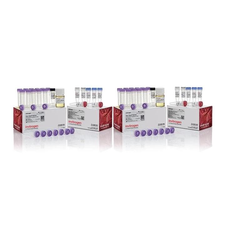 Invitrogen™ Zero Blunt™ TOPO™ PCR Cloning Kit, with One Shot™ TOP10 Chemically Competent E. coli cells, 50 Reactions