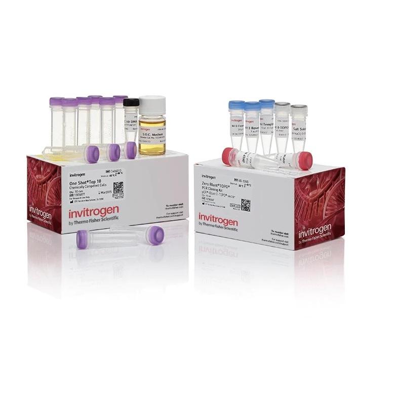 Invitrogen™ Zero Blunt™ TOPO™ PCR Cloning Kit, with One Shot™ TOP10 Chemically Competent E. coli cells, 10 Reactions