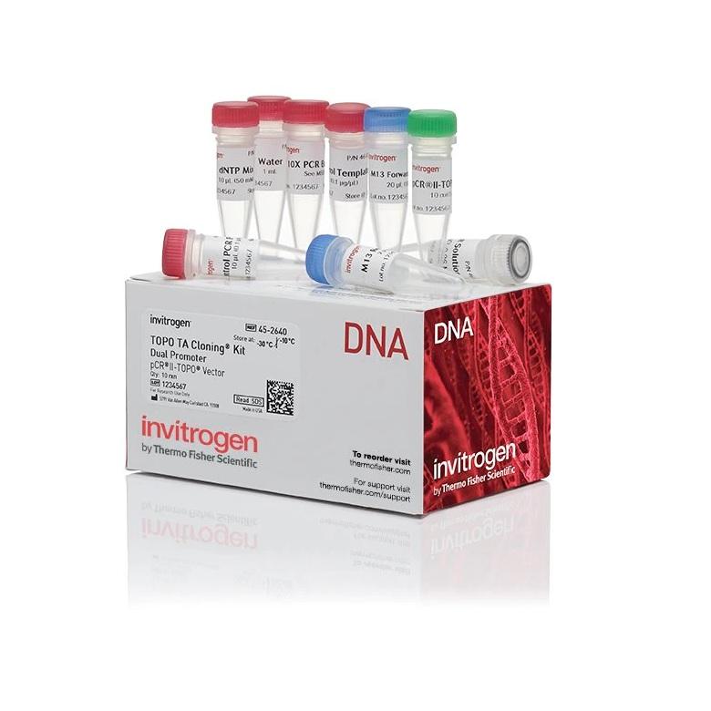 Invitrogen™ TOPO™ TA Cloning™ Kit, Dual Promoter, without competent cells, 25 Reactions