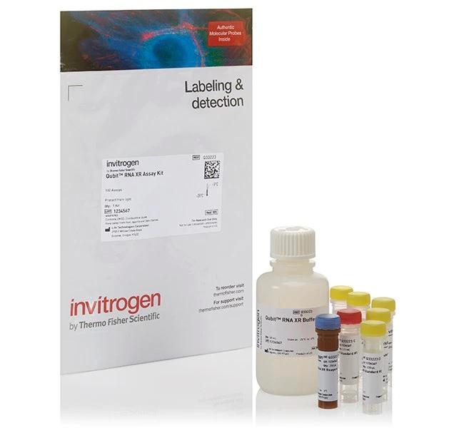 Invitrogen™ Qubit™ RNA XR Assay Kit, 100 assays