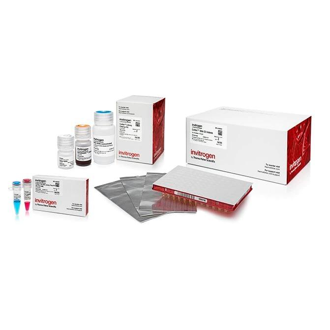 Invitrogen™ Collibri™ PCR-free PS DNA Library Prep Kit for Illumina Systems, with CD indexes, 24